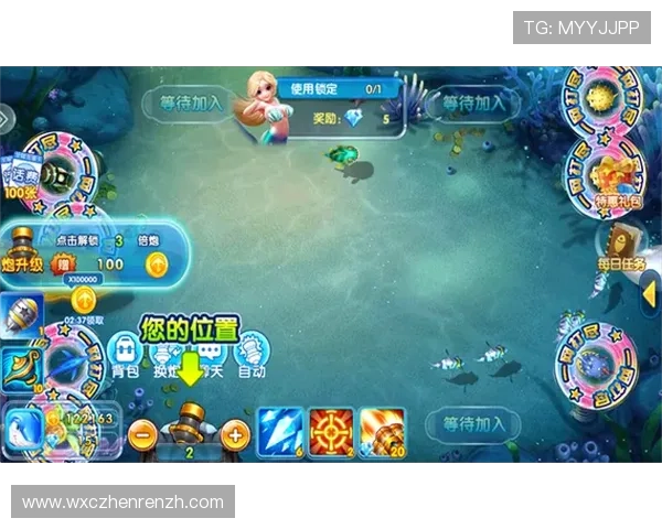 金鲨银鲨飞禽走兽游戏玩法详解,提升游戏体验与快速提现的实用技巧